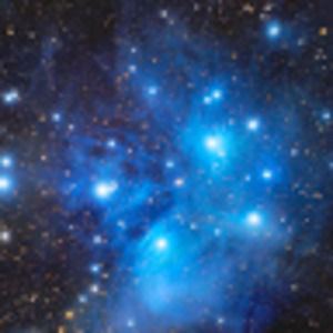 Meet your Posher, Bob